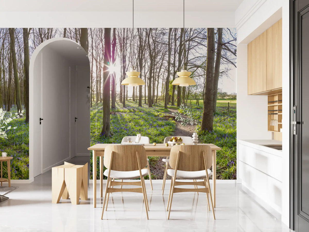 Woodland Morning Sunlight Wall Mural