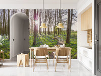 Woodland Morning Sunlight Wall Mural
