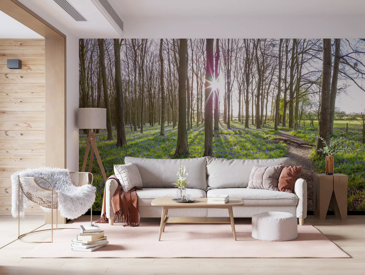 Woodland Morning Sunlight Wall Mural