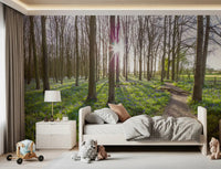 Woodland Morning Sunlight Wall Mural