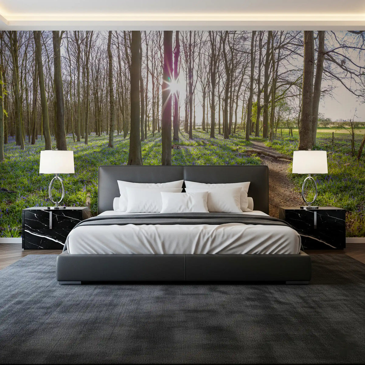 Woodland Morning Sunlight Wall Mural