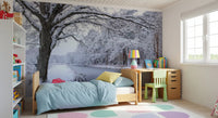 Frozen Canal Winter Woodland Wall Mural