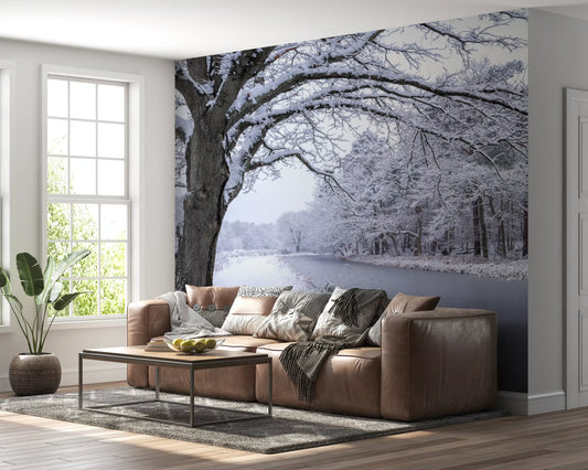 Frozen Canal Winter Woodland Wall Mural