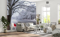 Frozen Canal Winter Woodland Wall Mural