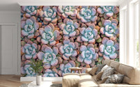 Desert Bloom Succulent Motif Wall Mural
