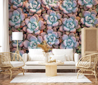 Desert Bloom Succulent Motif Wall Mural