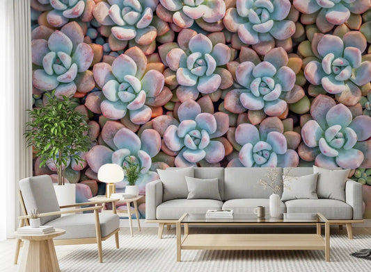 Desert Bloom Succulent Motif Wall Mural
