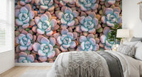 Desert Bloom Succulent Motif Wall Mural