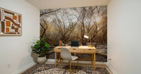 Sun-Drenched Wilderness Canopy Wall Mural