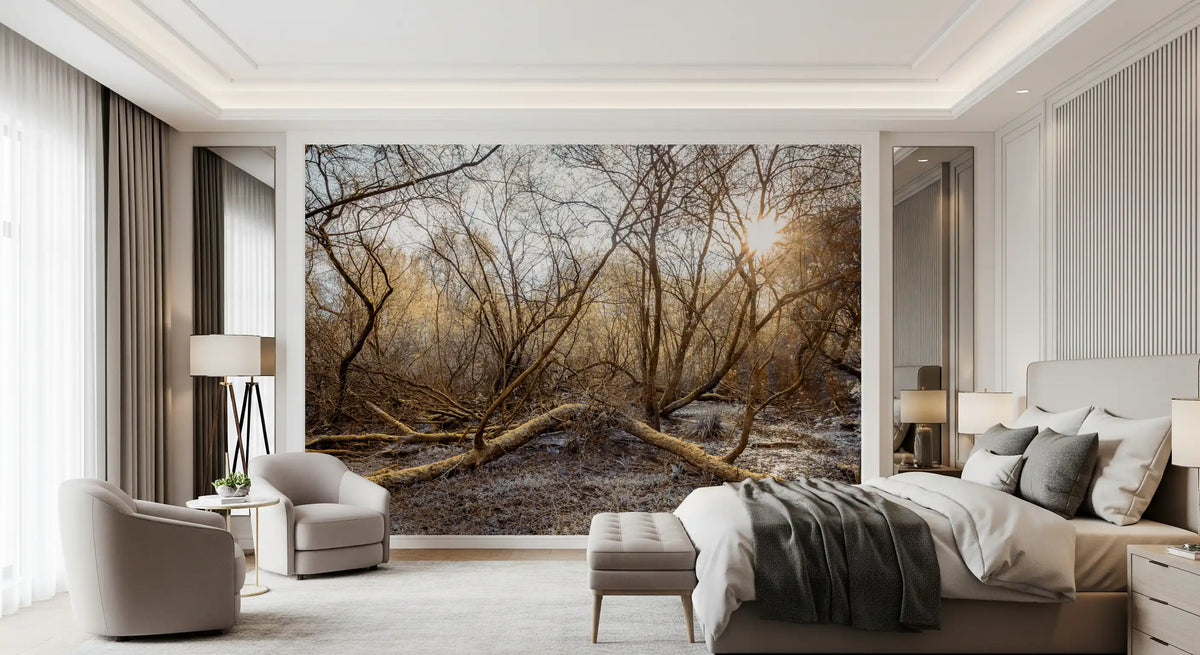 Sun-Drenched Wilderness Canopy Wall Mural