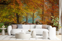 Misty Woodland Bridge Walkway Wall Mural