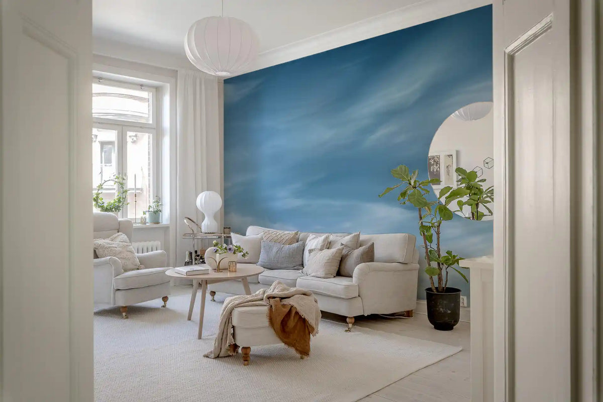 Abstract Clouds Wispy Sky Motion Wall Mural