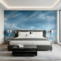 Abstract Clouds Wispy Sky Motion Wall Mural