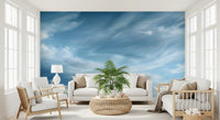 Abstract Clouds Wispy Sky Motion Wall Mural
