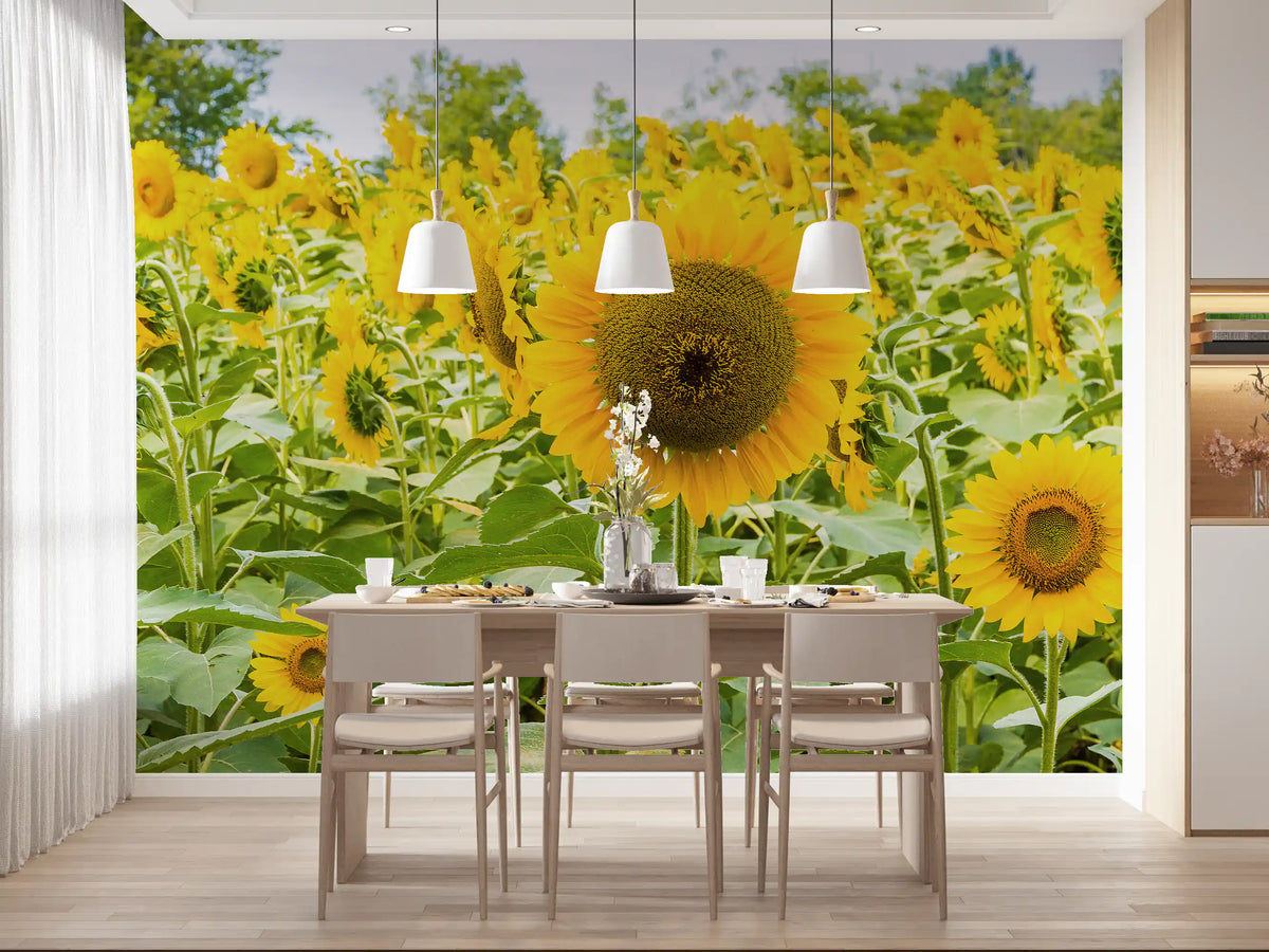 Golden Sunflower Field Meadow Wall Mural