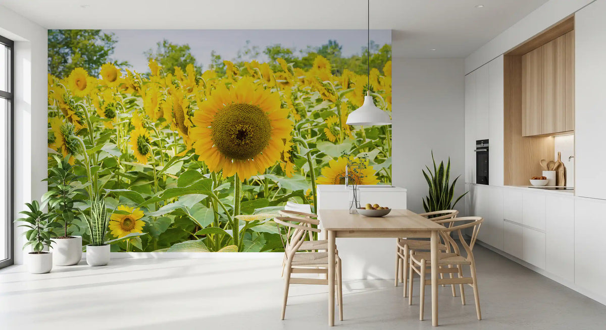 Golden Sunflower Field Meadow Wall Mural