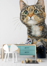 Curious Cat Illustration Wall Mural