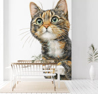 Curious Cat Illustration Wall Mural