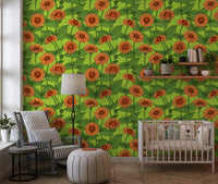 Vibrant Orange Zinnia Garden Wallpaper⁠