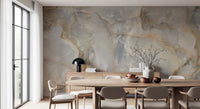 Natural Marble Vein Texture Mural Wall Mural