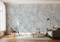 Arctic Veined Marble Texture Wall Mural