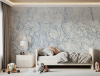 Arctic Veined Marble Texture Wall Mural