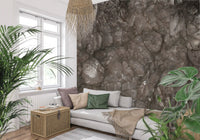 Natural Earth Stone Texture Wall Mural