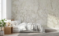 Classic Cream Marble Stone Wall Mural