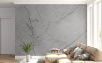 Minimalist Grey Marble Veining Wall Mural