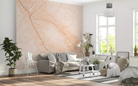 Soft Peach Marble Stone Texture Wall Mural