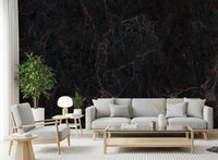Midnight Noir Marble Slab Wall Mural