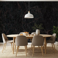 Midnight Noir Marble Slab Wall Mural