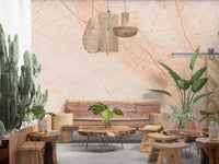 Soft Peach Marble Stone Wall Mural