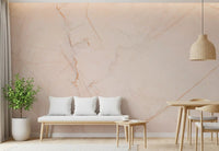 Blush Marble Vein Stone Wall Mural