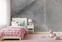 Monochromatic Grey Marble Slab Wall Mural