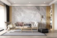 Cool Grey Marble Vein Slab Wall Mural