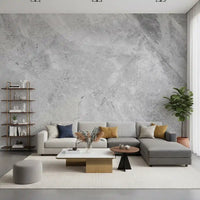 Cool Grey Marble Vein Slab Wall Mural