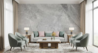 Cool Grey Marble Vein Slab Wall Mural
