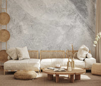 Cool Grey Marble Vein Slab Wall Mural