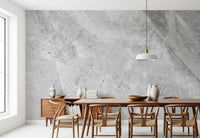 Cool Grey Marble Vein Slab Wall Mural
