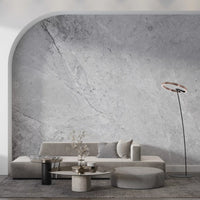 Monochromatic Stone Vein Texture Wall Mural