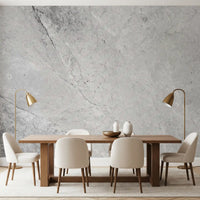 Monochromatic Stone Vein Texture Wall Mural