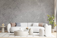 Classic Light Gray Stone Marble Wall Mural