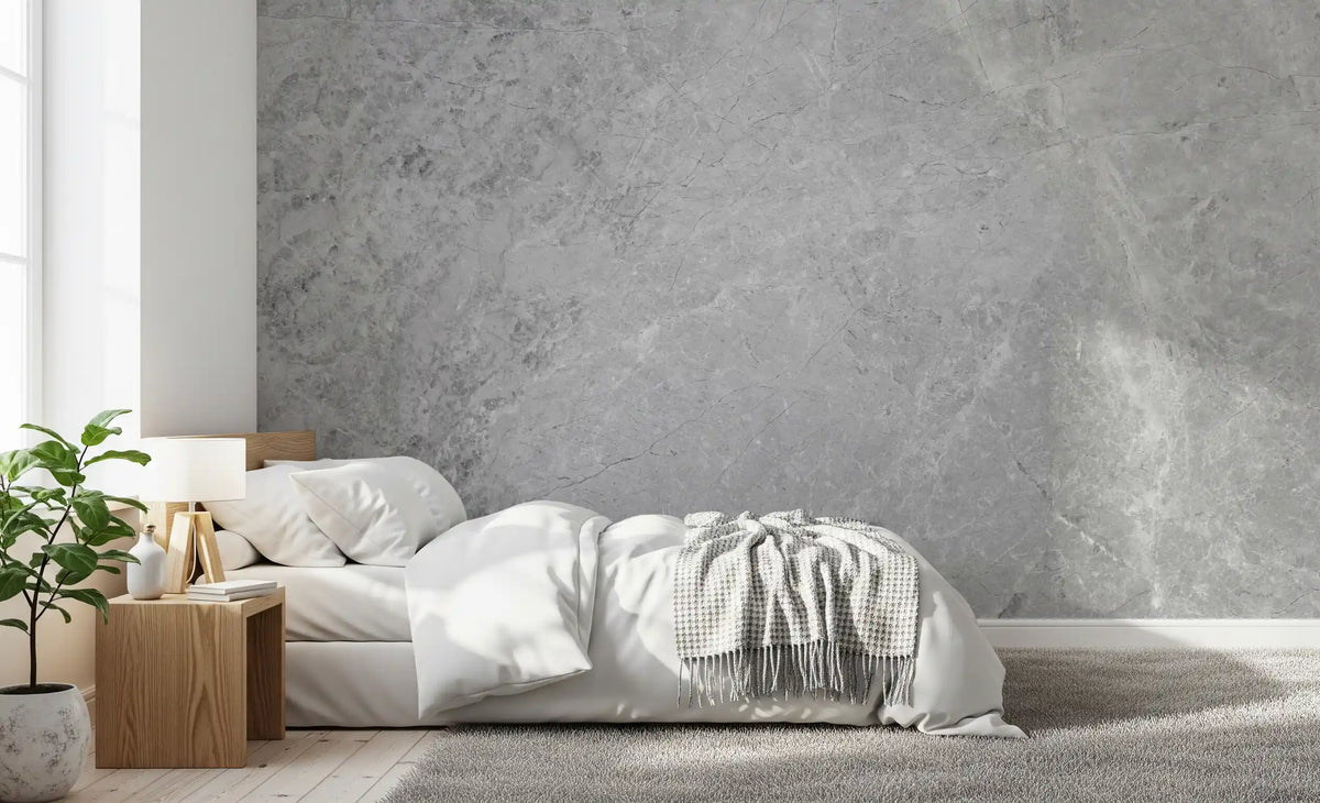 Classic Light Gray Stone Marble Wall Mural
