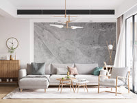 Minimalist Cool Grey Marble Slab Wall Mural