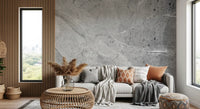 Minimalist Cool Grey Marble Slab Wall Mural