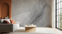 Minimalist Grey Marble Slab Wall Mural