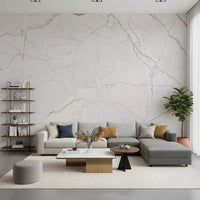 Subtle Cream Marble Veining Wall Mural