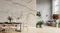 Classic Cream Marble Veins Wall Mural
