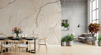 Cream and Charcoal Vein Stone Wall Mural